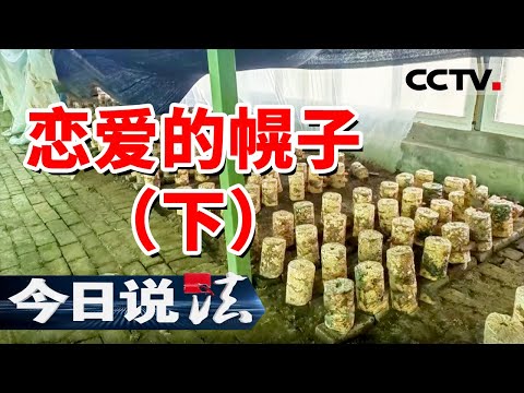 《今日说法》网络“恋人” 转账后立即消失不见！20241220 | CCTV今日说法官方频道