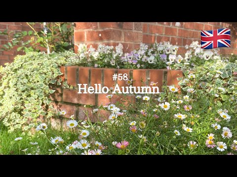 #58 Cozy relaxing time with autumn home decor | Gardening and living