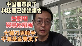 中国股市疯了 科技股已遥遥领先 台积电哭晕在厕所|大镰刀割韭菜更顺手 平准基金要来了