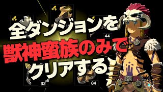 オールダンジョン装備縛り攻略解説『獣神×蛮族編』【ゼルダの伝説 ブレス オブ ザ ワイルド】