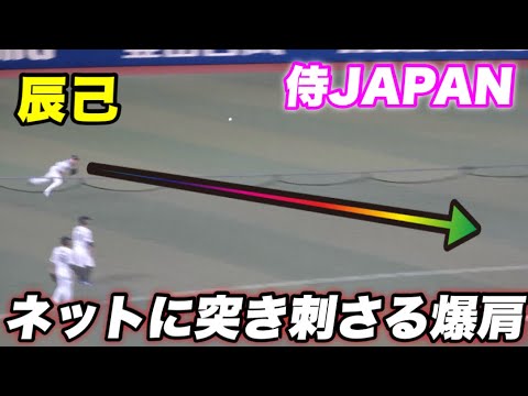 【場内どよめく爆肩！！日本最高峰のシートノック！！外野は辰己に内野には源田！】日本対豪州