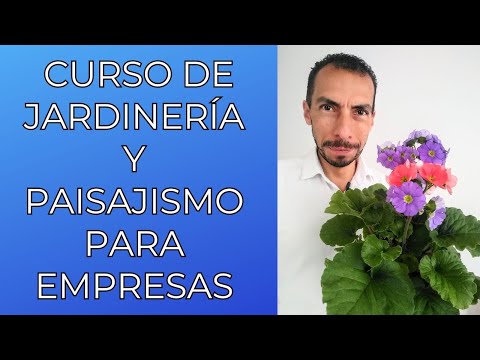 CURSO DE JARDINERÍA Y PAISAJISMO PARA EMPRESAS