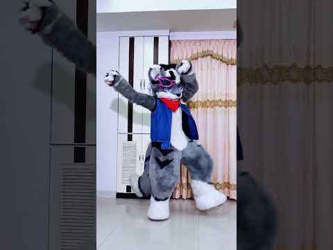 #christmaseve + #straykids  #lalalala_challenge #lalalala #fursuiter #fursuitcommunity #furrycok