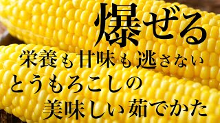 【たった２分】とうもろこしの最高に美味しい茹で方、栄養、選び方【冷めても美味しさキープ】