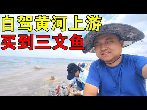 自驾黄河上游，高价买了条三文鱼，小伙要大吃大喝一次【穷游的似水年华】