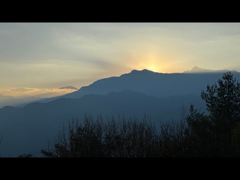 阿里山夜未眠｜小笠原觀景台看日出｜森林步道｜櫻王｜眺望塔山