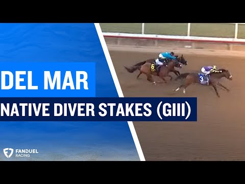 $100,000 Native Diver Stakes (G3) at Del Mar 2024