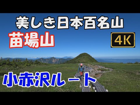 苗場山  美しき日本百名山✨。小赤沢ルート。日帰り登山。池塘が多く点在する緑広がる山頂台地へ😍。ver.2