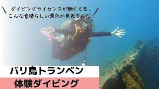 バリ島トランベンで体験ダイビング｜水中で見たのも全てに感動！