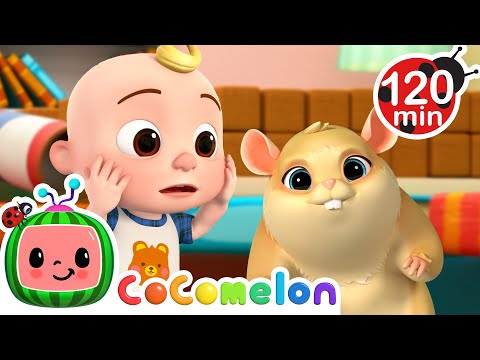 JJ's Hamster Chase Trouble! 🐹 | CoComelon Nursery Rhymes and Kids Songs | Animals for Kids