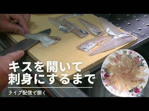 【工程全見せ】釣ったキスの刺身用と天ぷら用の開き方(ライブ配信)