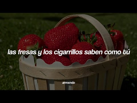 Troye Sivan — Strawberries & Cigarettes [Sub. Español]