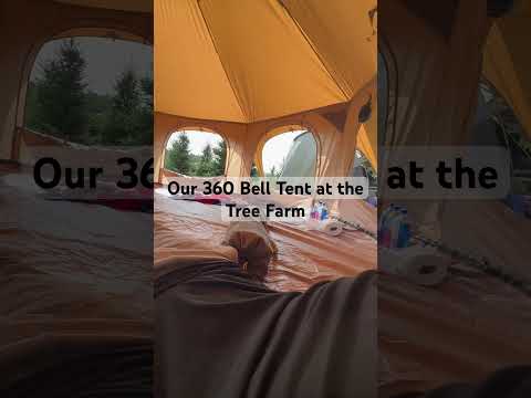 Are we impressed? Luxury Yurt tents with panorama views! #outdoorcamp #tent