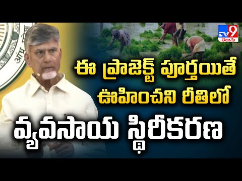 ఈ ప్రాజెక్ట్ పూర్తయితే ఊహించని రీతిలో వ్యవసాయ స్థిరీకరణ : CM Chandrababu - TV9