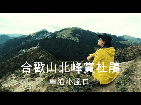 車泊小風口。合歡山北峰賞高山杜鵑