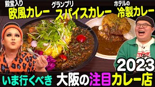 【絶品カレー特集】いま行くべき大阪の注目カレー店！【ナジャ・グランディーバのチマタのハテナ】