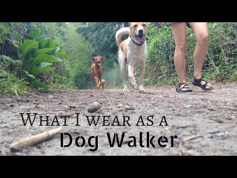 What I Wear as a DOG WALKER in CANADA (summer)