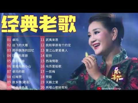 【中國藏歌】【经典老歌】西藏民歌 | Tibetan Chinese Songs卓玛，远飞的大雁，雨中飘荡的回忆，辽阔的草原，我的母亲   Best Songs Of Jamyang Dolma