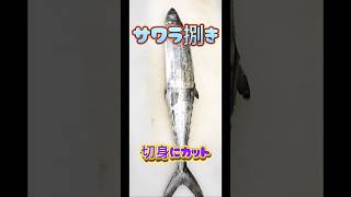 サワラ捌き方【切身】カッティング #サワラ #サワラ捌き方 #サワラ切身