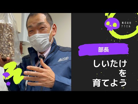 【部長成長シリーズ】しいたけを栽培しよう🍄