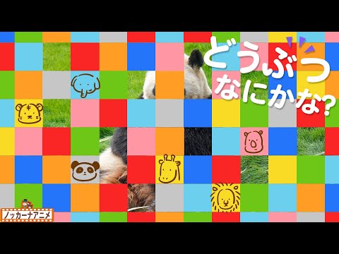 かくれている動物はなにかな？【知育アニメ】What is this animal? Video for kids