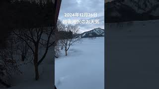 2024年12月26日越後湯沢のお天気 #現地のお天気 #ハセケンのお天気 #リアルなお天気 #越後湯沢 #ログハウス生活 #ポジティブ天気予報 #猫のいる暮らし