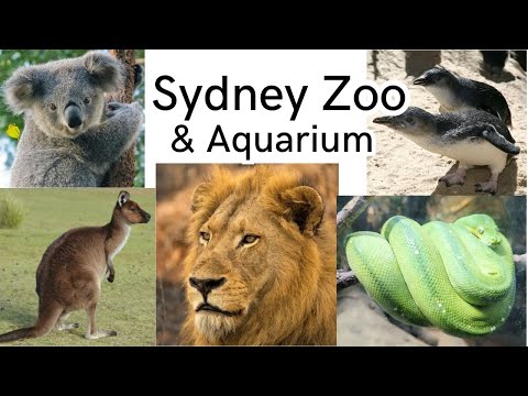 Sydney Zoo Australia, zoo and aquarium in Sydney