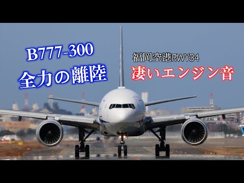 ANA B777-300 大型機PW4090エンジン音が凄い！迫力満点の離陸 福岡空港