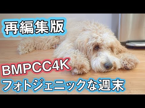 [再編集版] フォトジェニックな週末とお蔵入り正月動画 #653