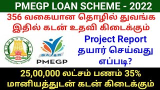 PMEGP Loan Scheme Eligible Business 2022 | PMEGP loan project report | PMEGP loan apply online