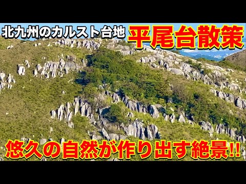 【日本三大カルスト】北九州市の平尾台を散策したら神秘的な光景が広がっていた