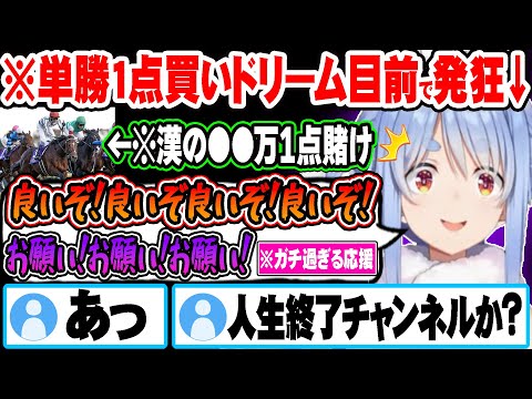 ジャパンカップで漢の単勝1点買いをした結果未だかつてない熱いレースを魅せてくれる兎田ぺこらｗ【ホロライブ 切り抜き Vtuber 兎田ぺこら ジャパンカップ 競馬 】