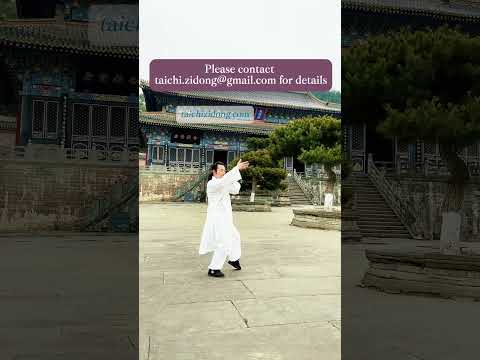 241107--气功-WUDANG, Tiger Style.