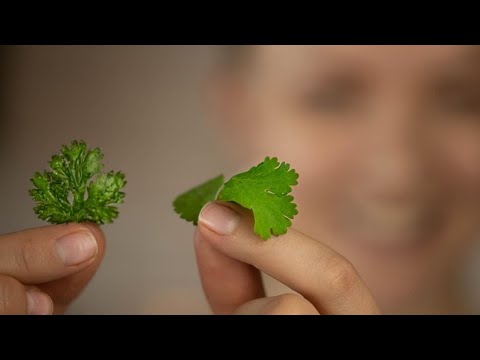 4 minute garnish idea (flat fried LEAFY HERBS)