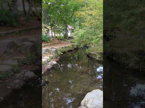 岐阜県郡上市　ひるがの分水嶺公園#郡上市#高鷲町#ひるがの分水嶺公園#分水嶺