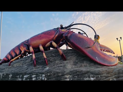 Giant Lobster 🦞