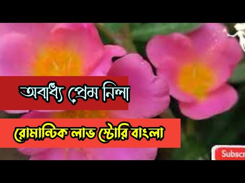 অবাধ্য প্রেমলীলা  || রোমান্টিক লাভ স্টোরি বাংলা ||Anika Dairy