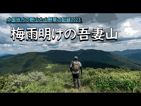 【梅雨明けの吾妻山】中国地方の野山と山野草の記録2023