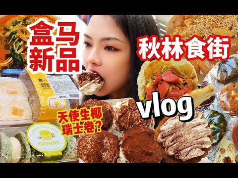 vlog｜盒马新品天使生椰瑞士卷！茉莉雪贝⧸提拉米苏奶贝巧克力派⧸油茶麻花⧸土豆片夹馍韭菜盒子⧸乳酪曲奇⧸毕业设计展出完美结束啦！