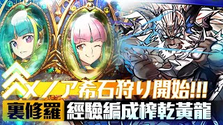 【パズドラ】計畫通！榨黃龍！？「闇ファガン」裏修羅サレーネ經驗周回隊伍編成，メノア希石回收計劃【龍族拼圖】