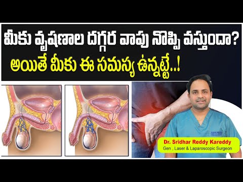 What is Varicocele | Symptoms of Varicocele | Varicocele Treatment Without Surgery in Telugu