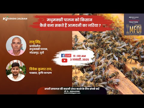 Beekeeping: मधुमक्खी पालन को किसान कैसे बना सकते हैं आमदनी का जरिया?