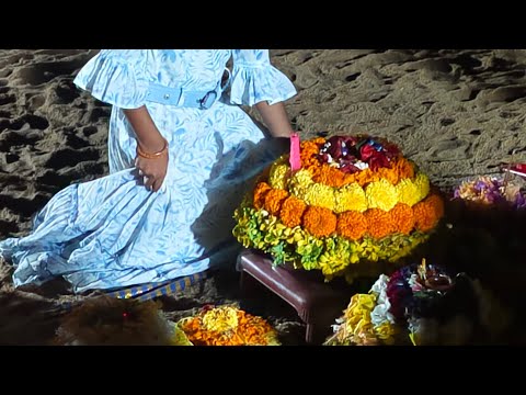 నా బతుకమ్మ పాట ఆశీర్వదించండి Please shareandSupport me🙏 na bathukammasong#bathukamma#bathukamma2024