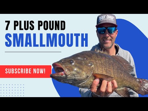 HUGE SMALLMOUTH CAUGHT!  7 1/2 POUNDS in a tournament!