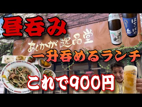 ランチ900円でこの品数‼️昼呑みアルチューバー大満足の居酒屋🍺　栃木県足利市「あしかが逸品堂」