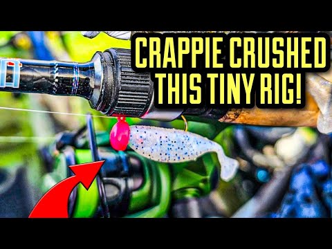 CRAZY Crappie Bite on a SIMPLE Rig!