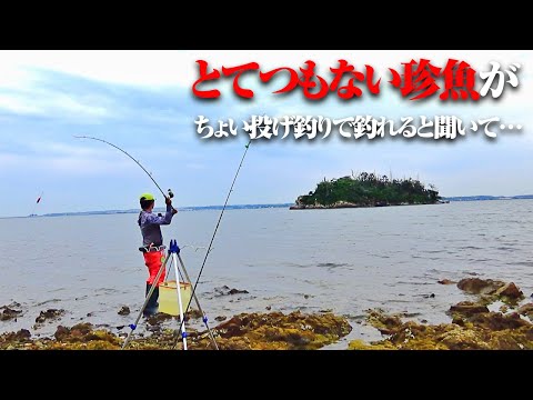 驚愕の外見…こんな魚が海にいるの？その魚は鋭利なトゲを携え、陸で立つという。皆さんはこの魚をご存知だろうか？