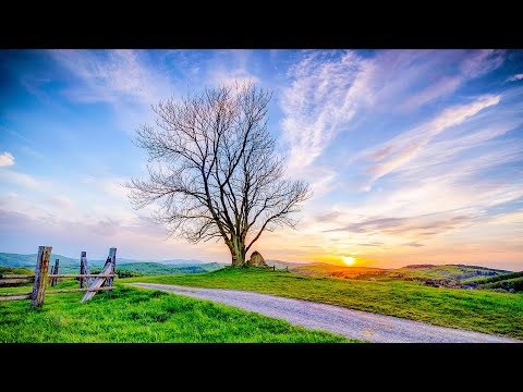 自然河水 平静沉静  解压放松  工作休息  Ambient  Music  relaxing music