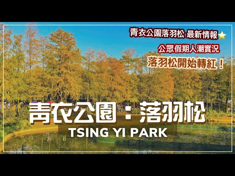 【香港好去處】 青衣公園 落羽松開始變紅?! 歐陸式庭院｜青衣市中心既綠洲（中文字幕）｜ Tsing Yi Park - Where to go in Hong Kong (Eng cc Sub)