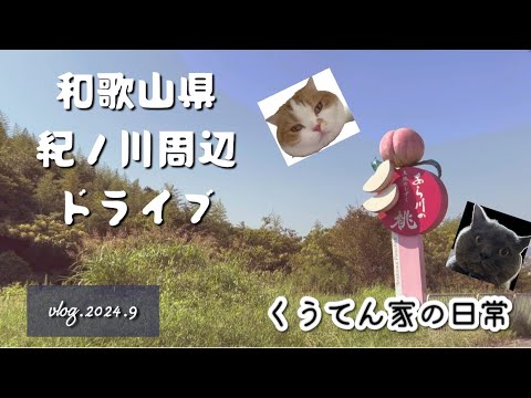 【ドライブ】和歌山県紀の川周辺/荒川の桃/40代主婦/猫との暮らし